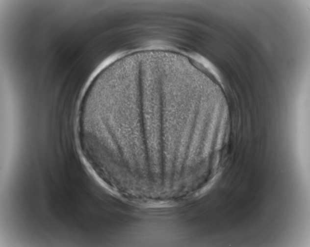 X0000086261142200704261950