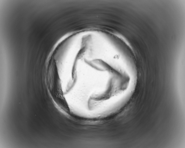 X0000086261143200704261951