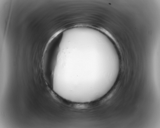 X0000086261145200704261951