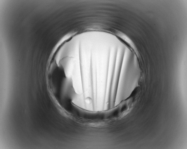 X0000086261146200704261951