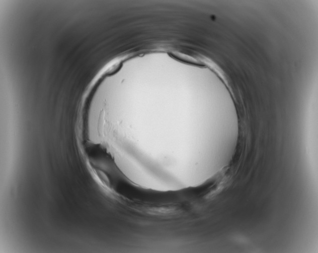 X0000086261147200704261951