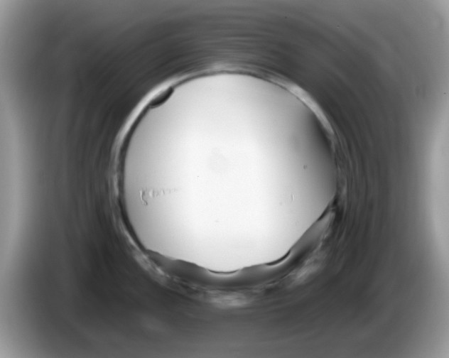 X0000086261148200704261951