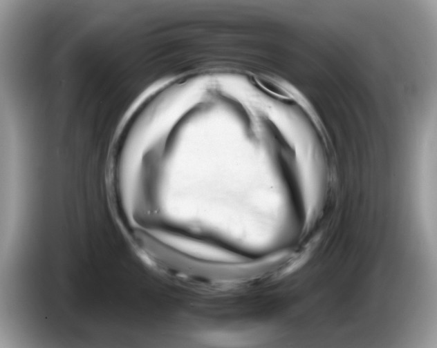 X0000086261149200704261951