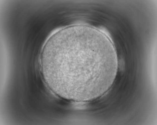 X0000086261150200704261951