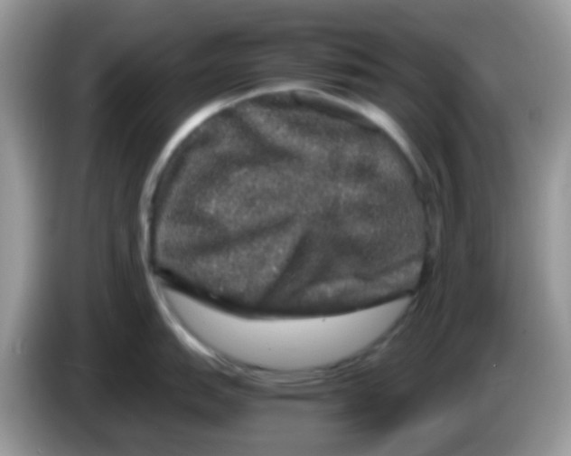 X0000086261151200704261951