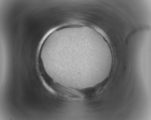 X0000086261152200704261951