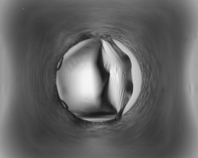 X0000086261153200704261950