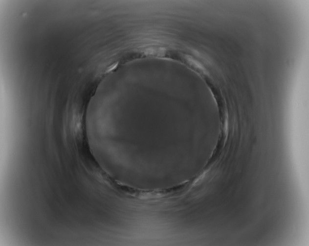 X0000086261154200704261950