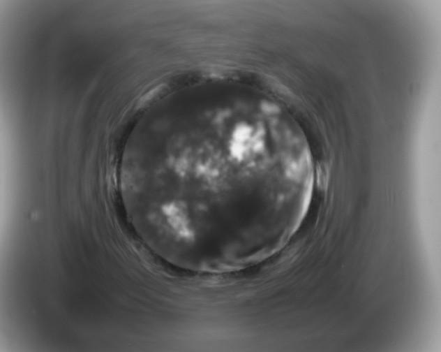 X0000086261155200704261950