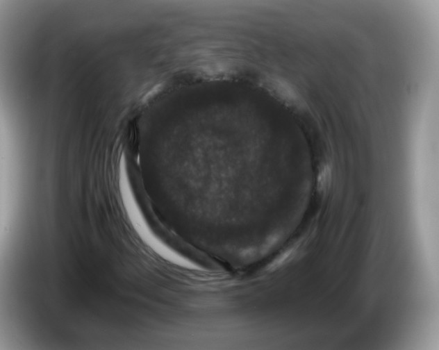 X0000086261156200704261950