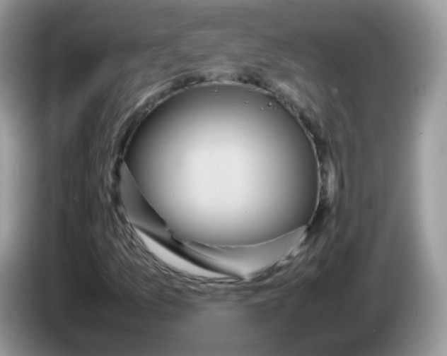 X0000086261157200704261950