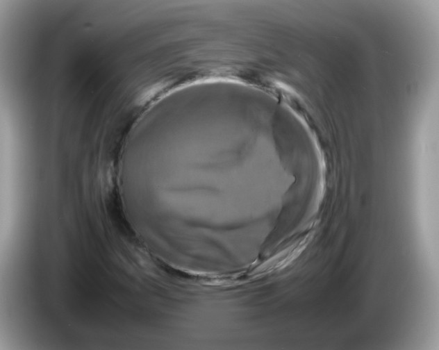 X0000086261161200704261950