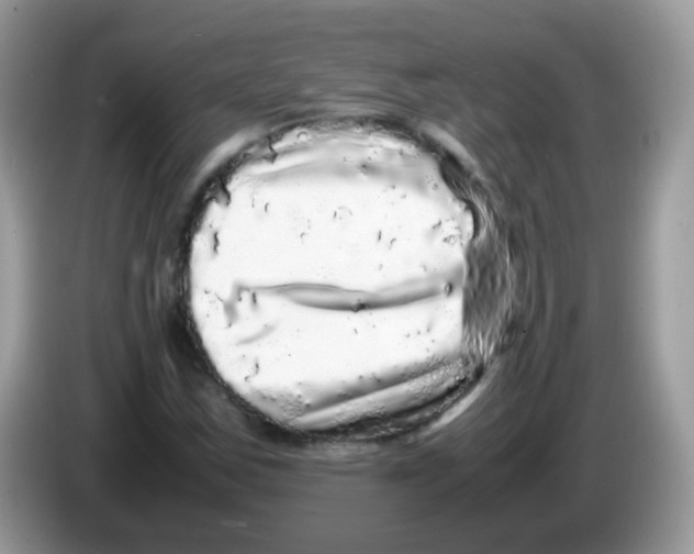 X0000086261163200704261950