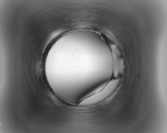 X0000086261164200704261950