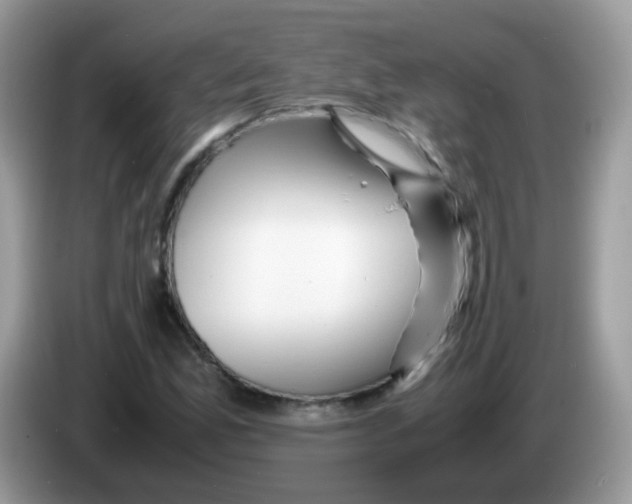 X0000086261165200704261950