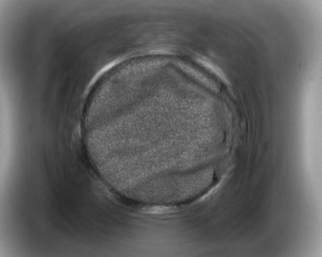 X0000086261166200704261950