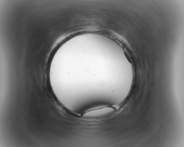 X0000086261168200704261950