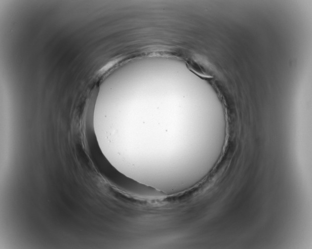 X0000086261169200704261950