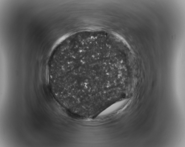 X0000086261171200704261950