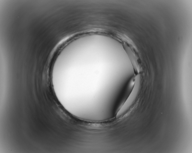 X0000086261172200704261950