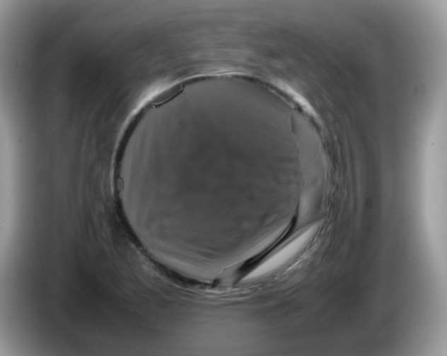 X0000086261173200704261950