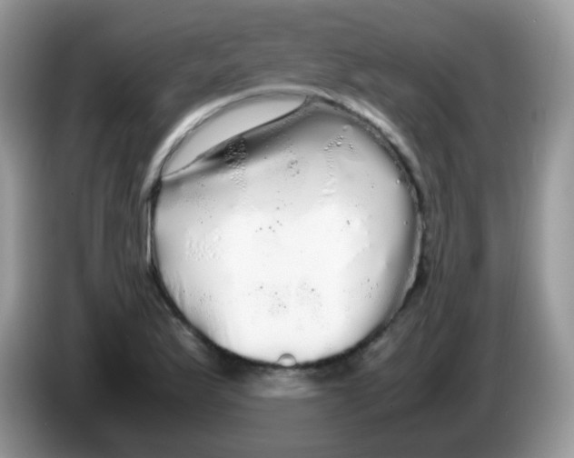 X0000086261175200704261950