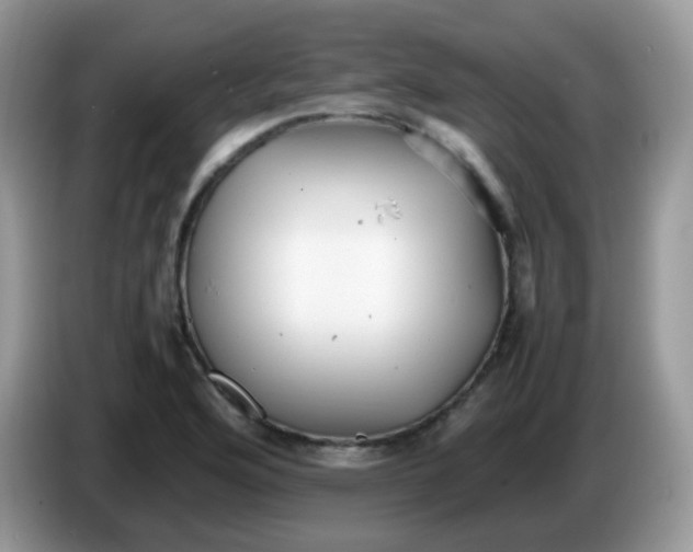 X0000086261176200704261950