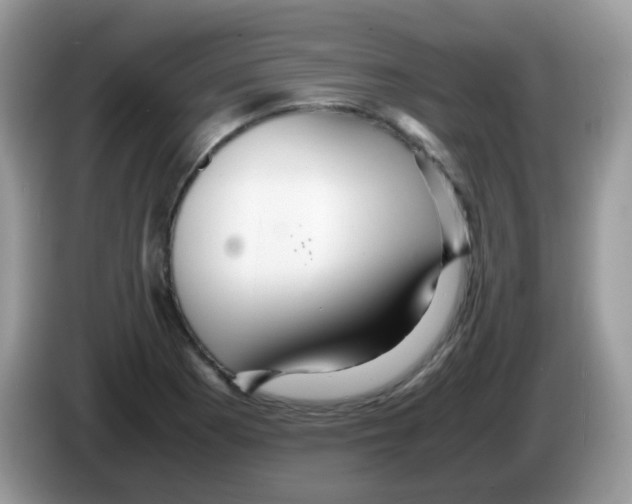 X0000086261177200704261950