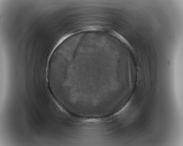 X0000086261178200704261950