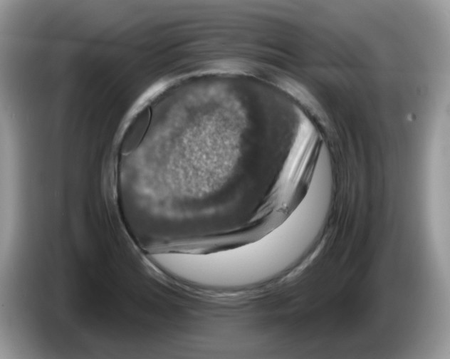 X0000086261180200704261950