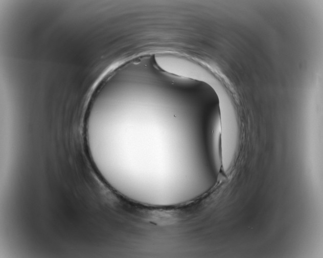 X0000086261181200704261950