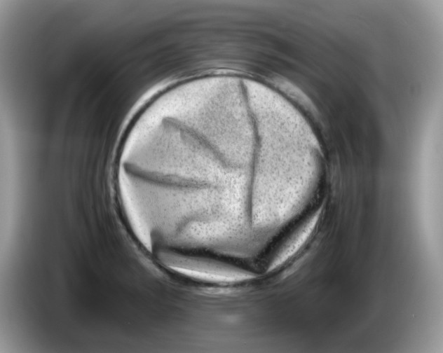 X0000086261182200704261950