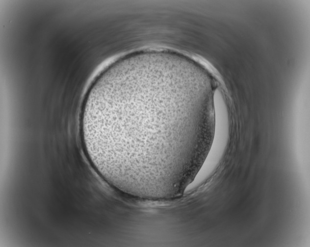 X0000086261183200704261950