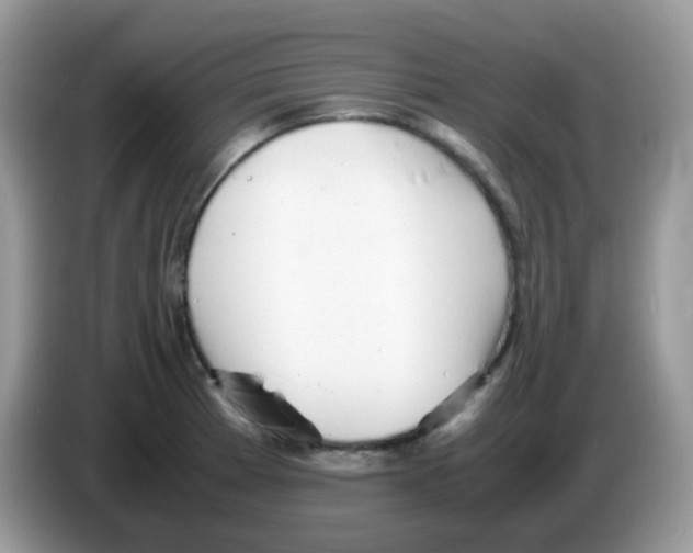 X0000086261185200704261950