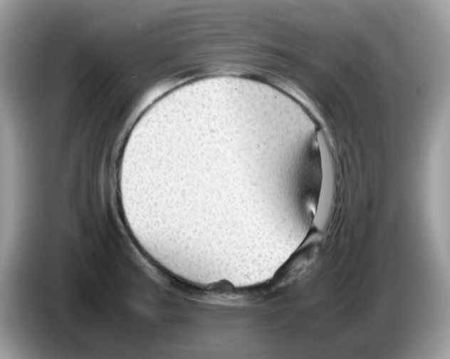 X0000086261187200704261950