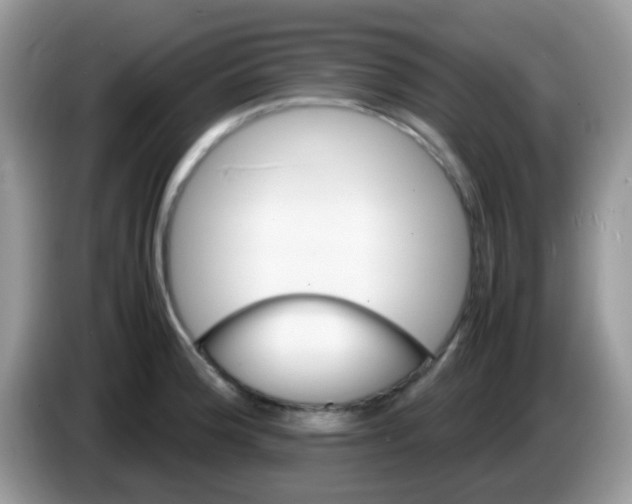 X0000086261188200704261950