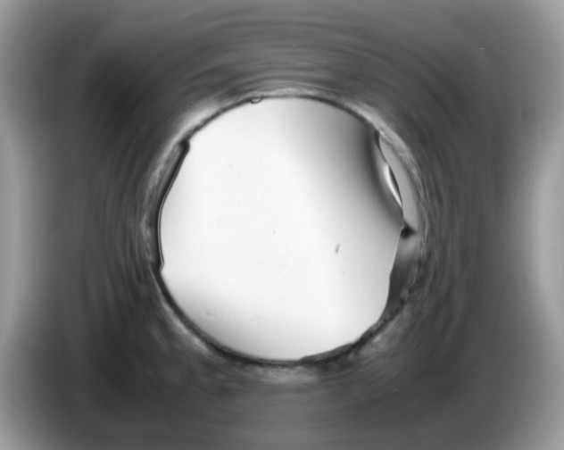 X0000086261189200704261950