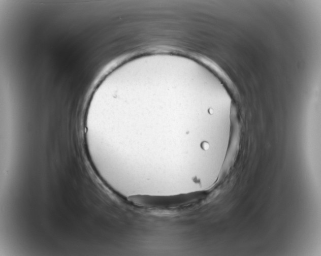 X0000086261191200704261950