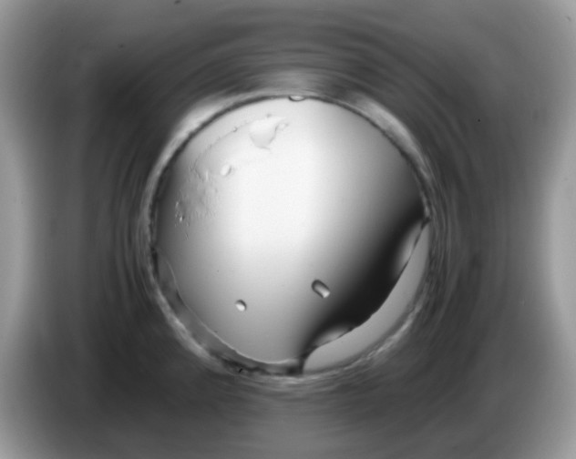 X0000086261192200704261949