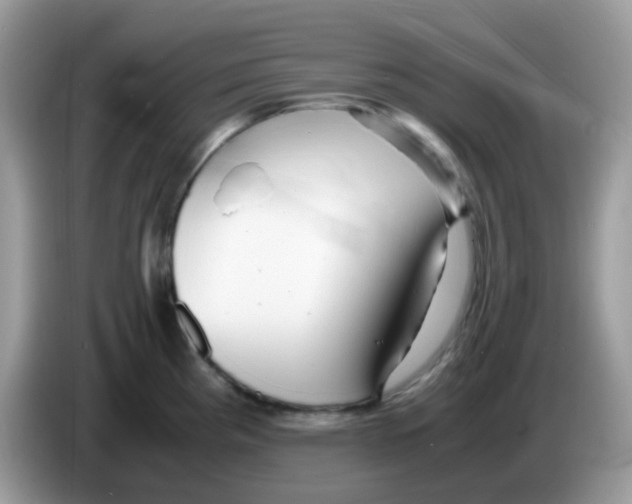 X0000086261193200704261949