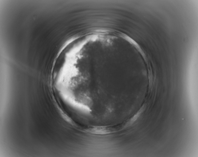 X0000086261194200704261949