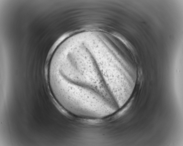 X0000086261196200704261949