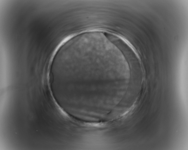 X0000086261197200704261949