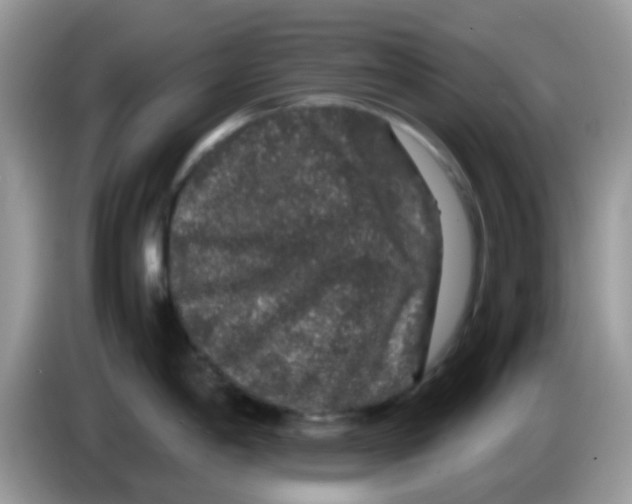 X0000086261198200704261949