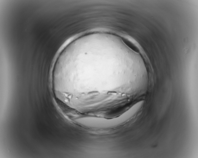 X0000086261199200704261949