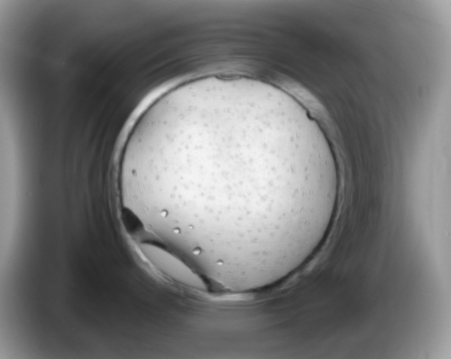 X0000086261200200704261949