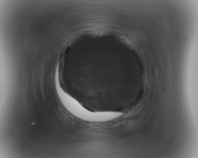 X0000086261202200704261949