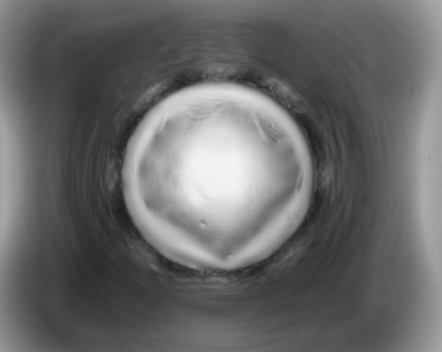 X0000086261204200704261949