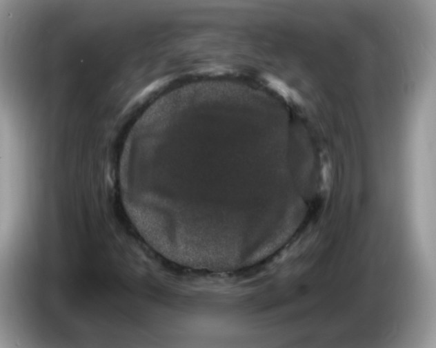 X0000086261206200704261949