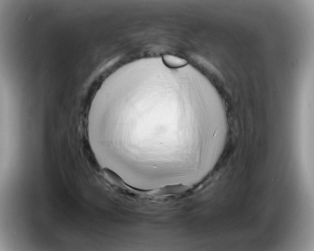 X0000086261207200704261949